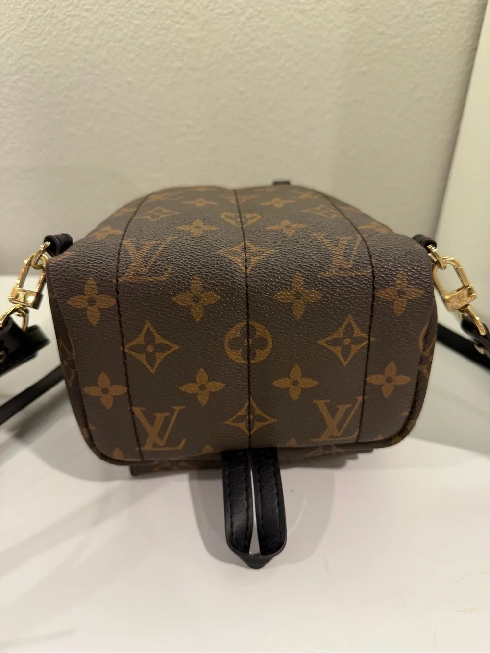 Louis Vuitton Monogram Mini palm Backpack